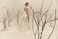 FELICE - thumbnail 2