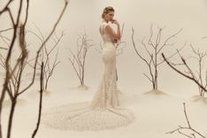 FELICE - thumbnail 1