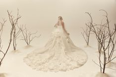 BIANCA - thumbnail 6